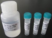 Human Chorionic Gonadotropin(HCG)